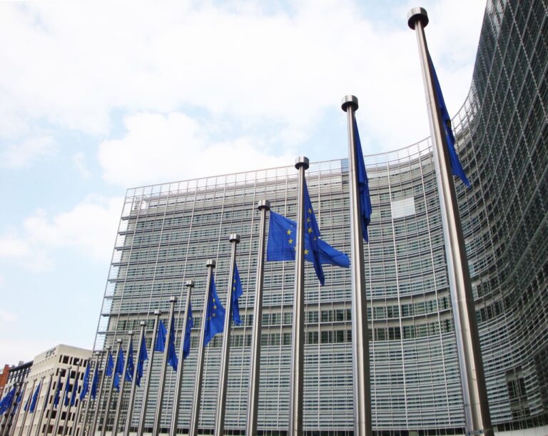 EU companies’ mobility Directive – step forward to the unification of EU internal market or poor favor to EU companies?